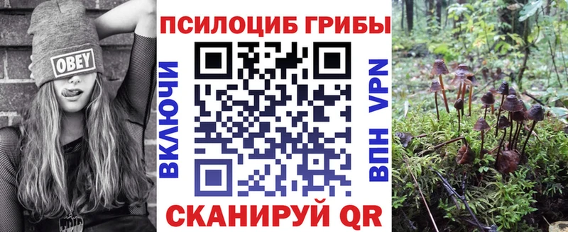Галлюциногенные грибы MAGIC MUSHROOMS  Нея 